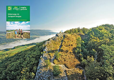 Reg_22_31.05.22 Interne Seite: