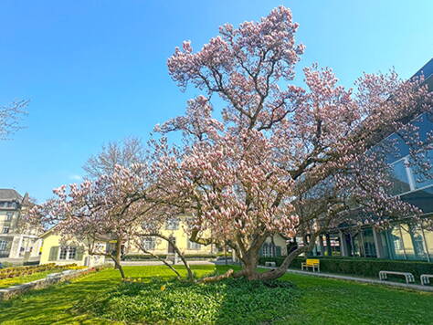 Reg_22_31.05.22 Interne Seite: